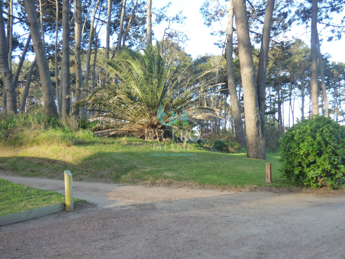 Apartamento ID.55 - Alquilo Departamento  2 Dorm 2 Baños al Frente del Mar