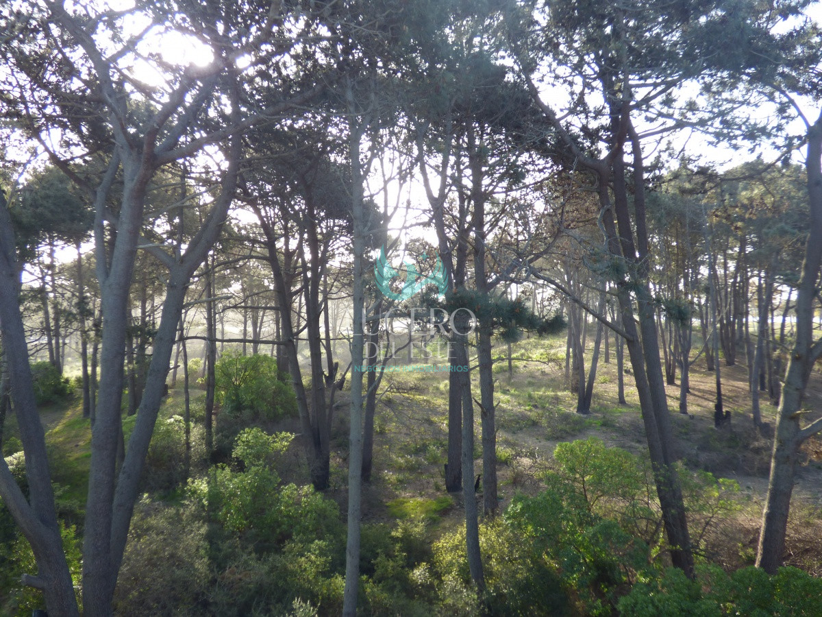 Apartamento ID.55 - Alquilo Departamento  2 Dorm 2 Baños al Frente del Mar