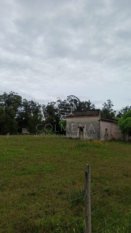 Camino Lussich - GoPunta - Portal Inmobiliario de Punta del Este - Maldonado