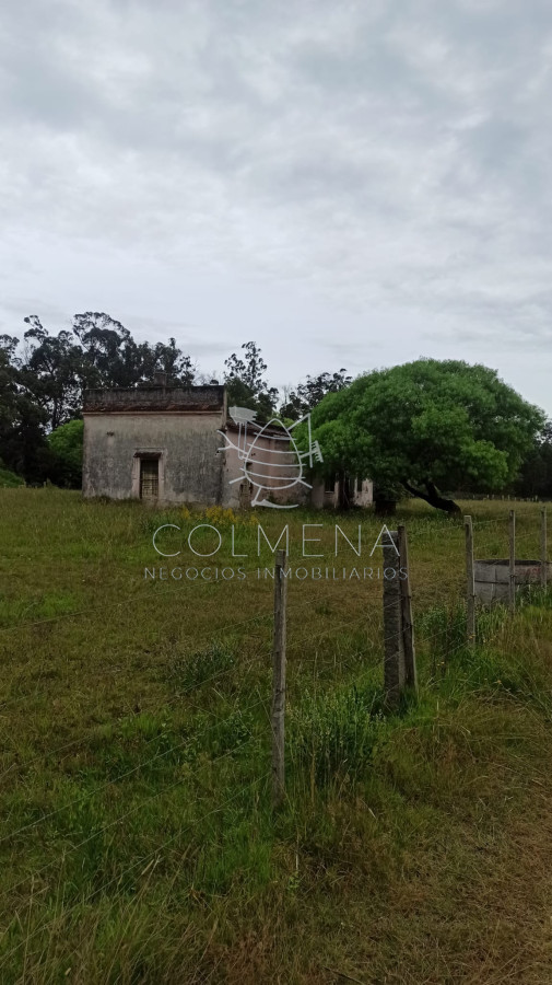 Camino Lussich - GoPunta - Portal Inmobiliario de Punta del Este - Maldonado