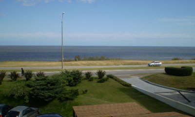 Pinares frente al mar