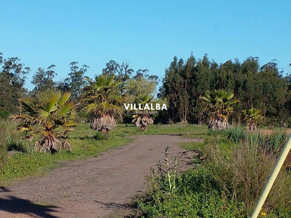 Chacra ID.4078 - Chacra en La Pataia con mejoras