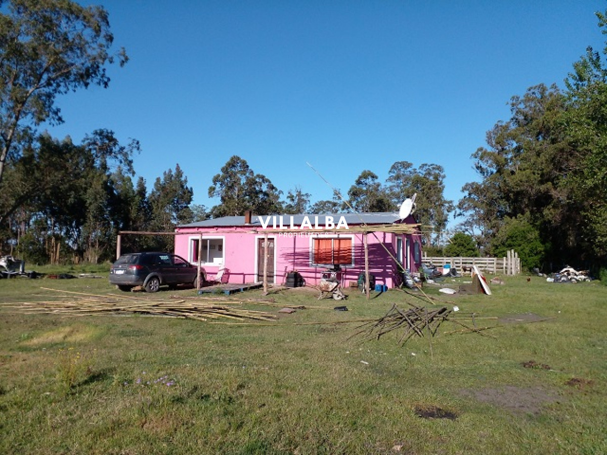 Chacra ID.4078 - Chacra en La Pataia con mejoras