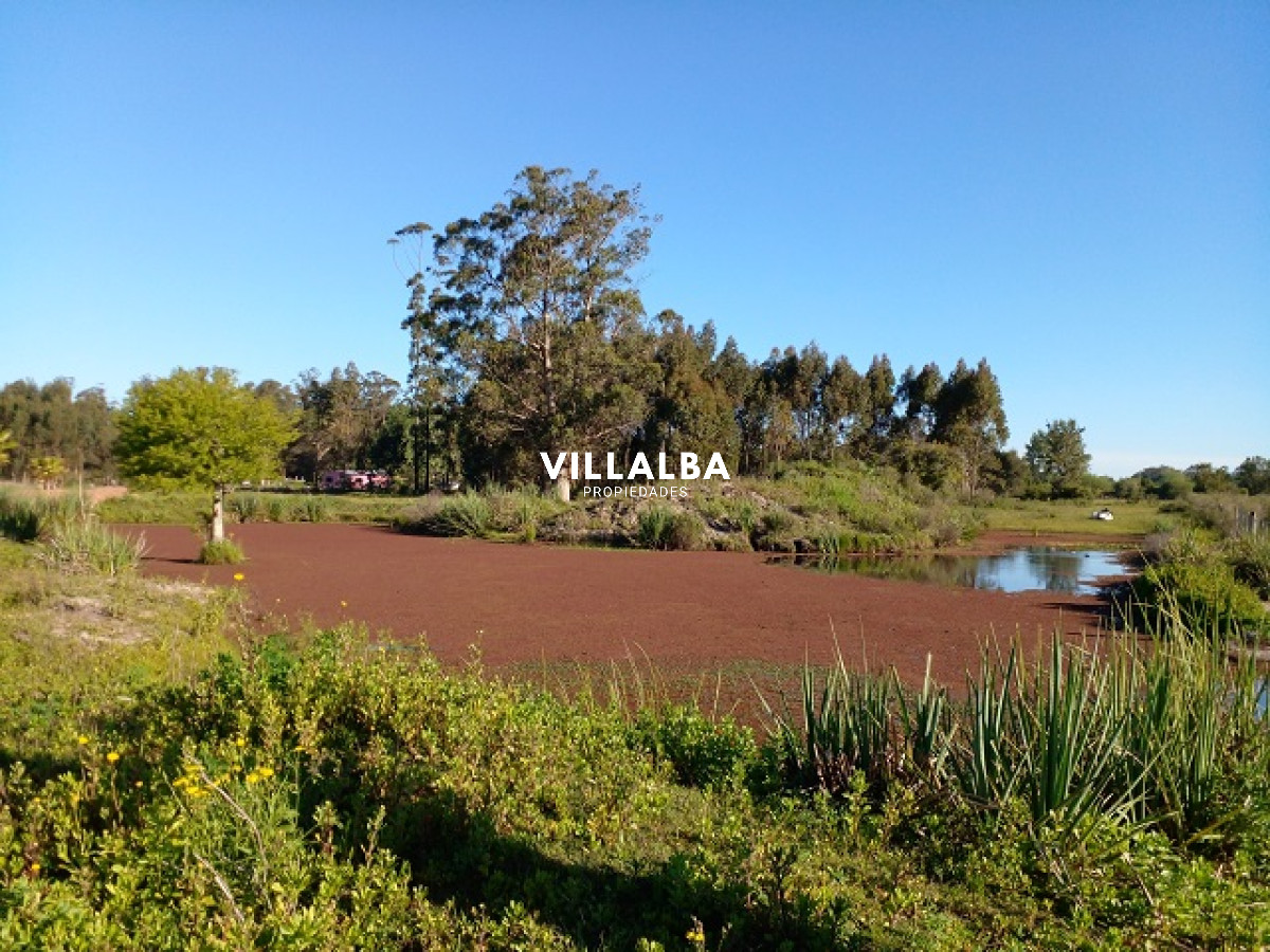 Chacra ID.4078 - Chacra en La Pataia con mejoras