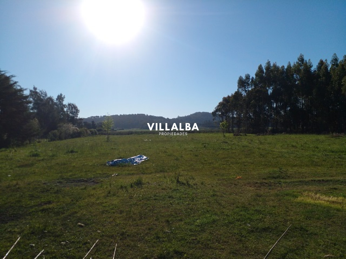 Chacra ID.4078 - Chacra en La Pataia con mejoras