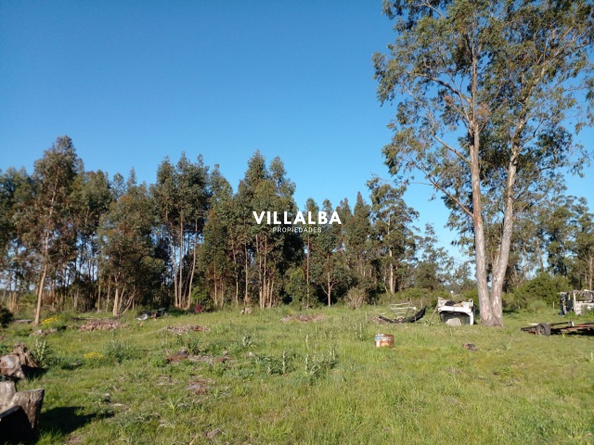 Chacra ID.4078 - Chacra en La Pataia con mejoras