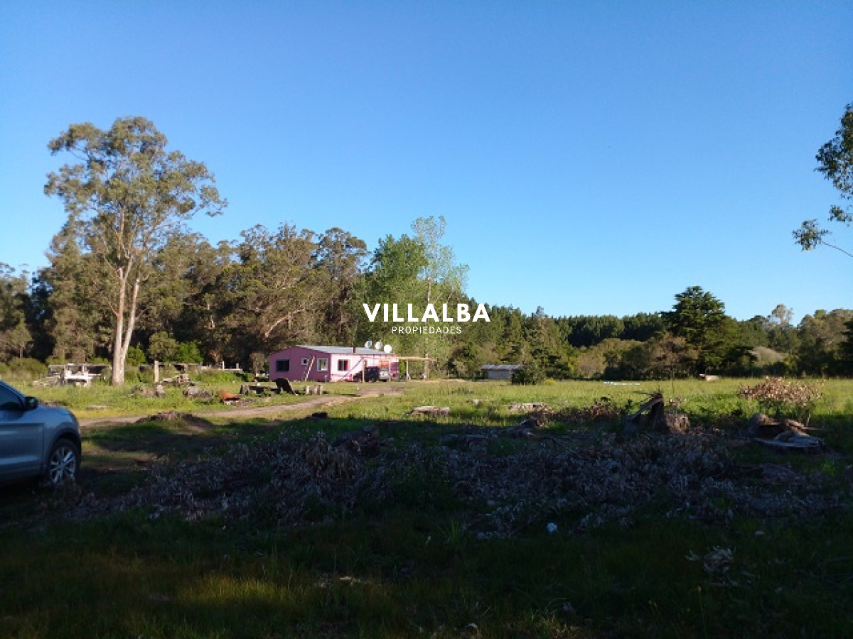 Chacra ID.4078 - Chacra en La Pataia con mejoras