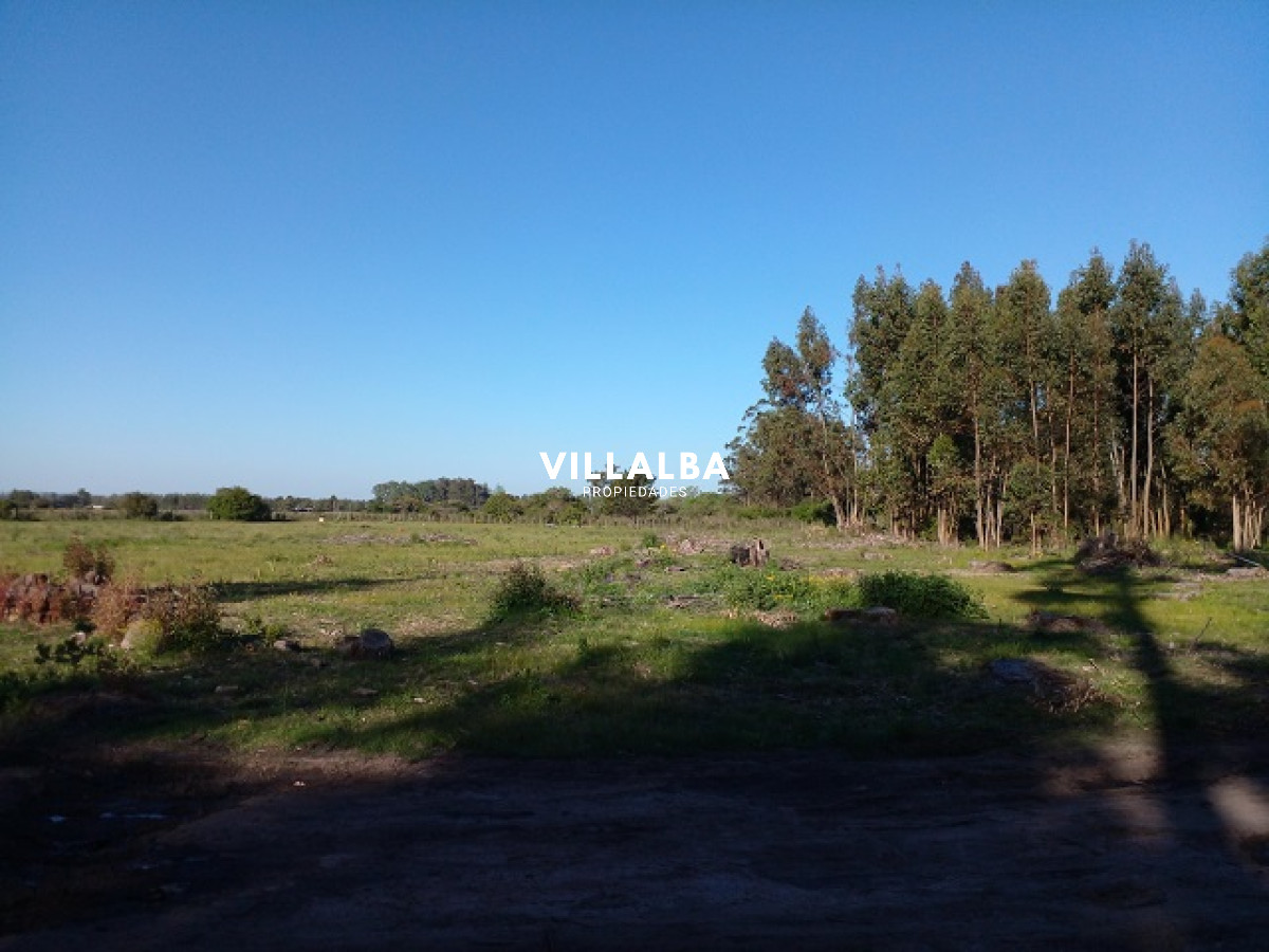 Chacra ID.4078 - Chacra en La Pataia con mejoras