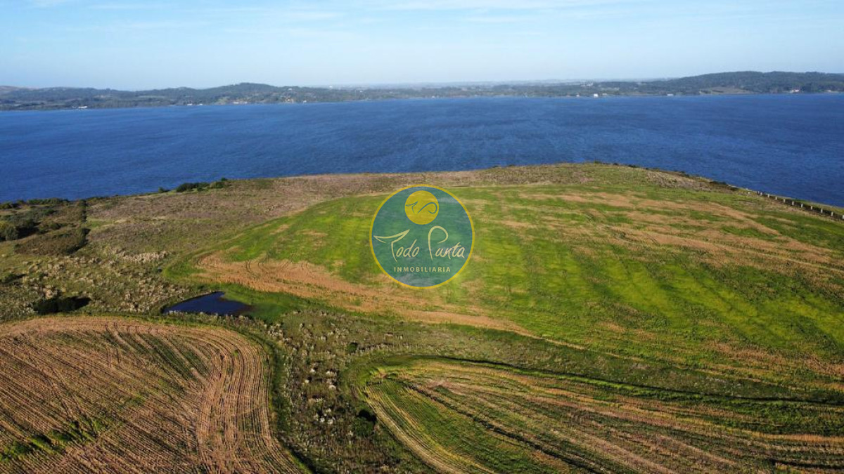 Chacra en Laguna del Sauce, Maldonado | Todo Punta