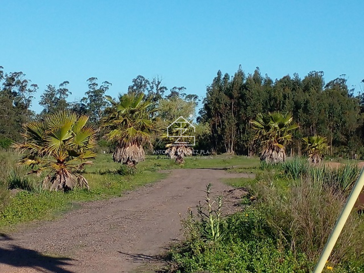 Chacra ID.4022 - Chacra en La Pataia con mejoras