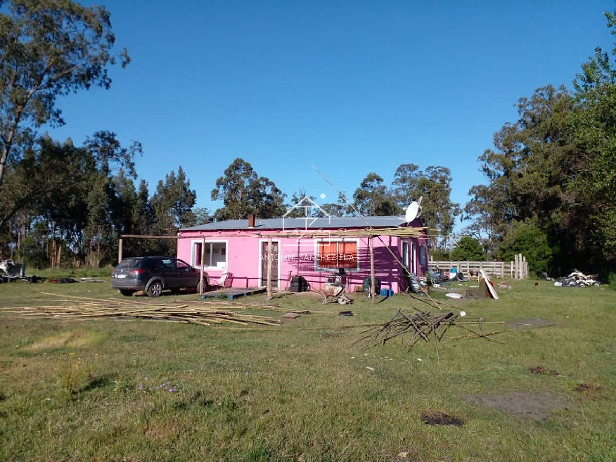 Chacra ID.4022 - Chacra en La Pataia con mejoras