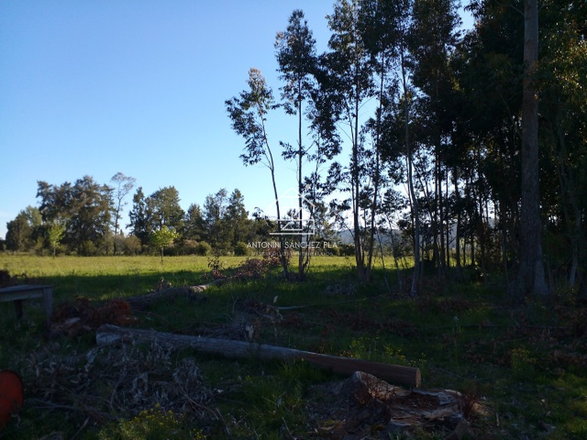 Chacra ID.4022 - Chacra en La Pataia con mejoras