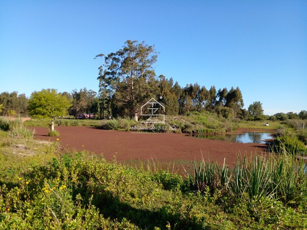 Chacra ID.4022 - Chacra en La Pataia con mejoras