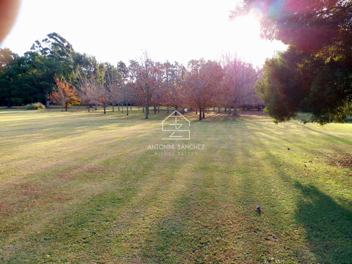 Chacra ID.2077 - Magnífica Chacra de cómodos ambientes y parque único