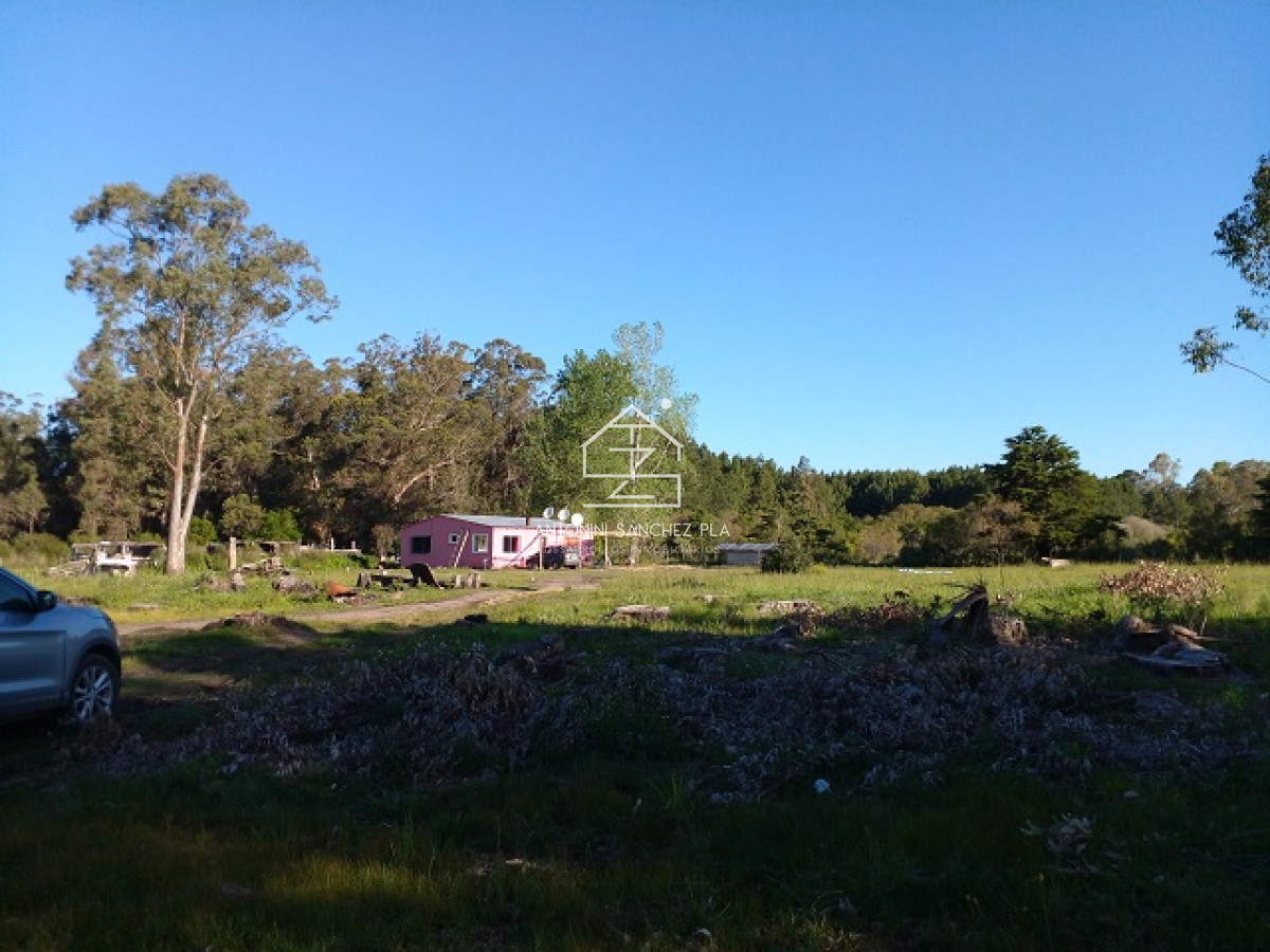 Chacra ID.4022 - Chacra en La Pataia con mejoras