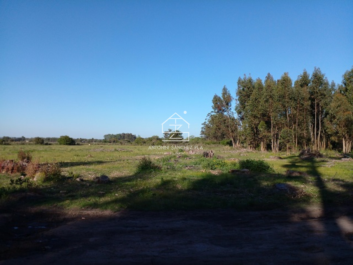 Chacra ID.4022 - Chacra en La Pataia con mejoras