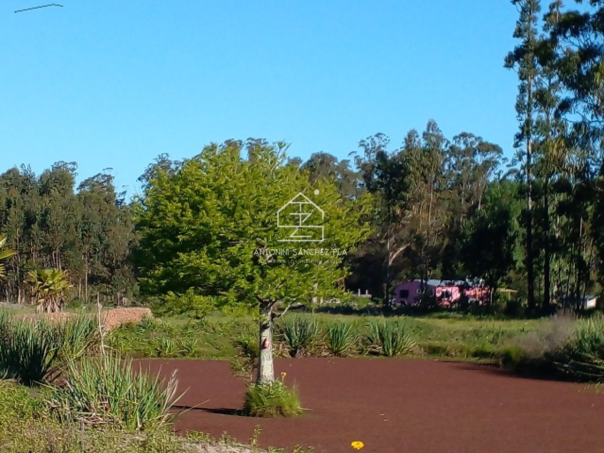 Chacra ID.4022 - Chacra en La Pataia con mejoras