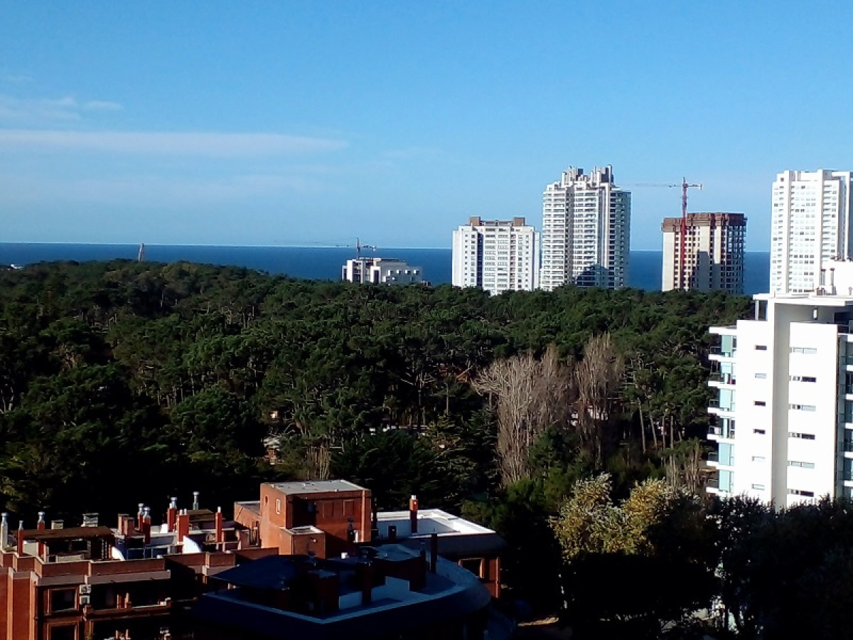 Apartamento ID.15 - Apartamento de 1 dormitorio 1 baño, Pda.5 