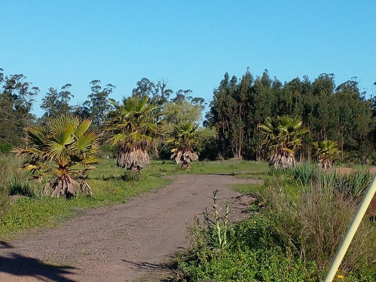 Chacra ID.9 - Chacra en La Pataia con mejoras