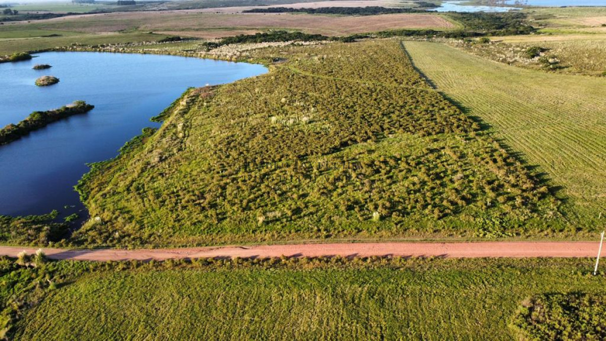 Chacra ID.7 - Entorno panorámico con costas sobre lago