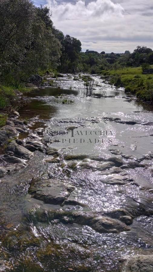 Chacra ID.154 - Excelente chacra de campo quebrado, cañada y árboles autóctonos