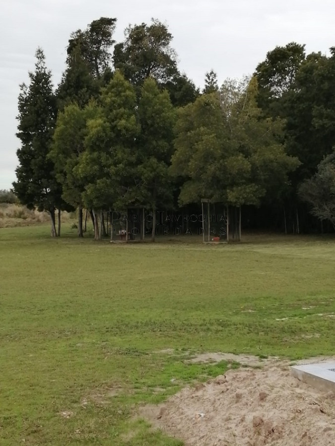 Chacra ID.56 - Chacra en muy buen estado, arbolada con todas las comodidades