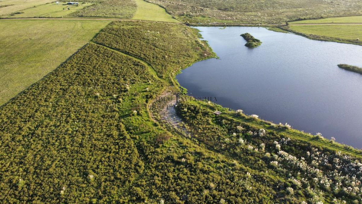 Chacra ID.7 - Entorno panorámico con costas sobre lago