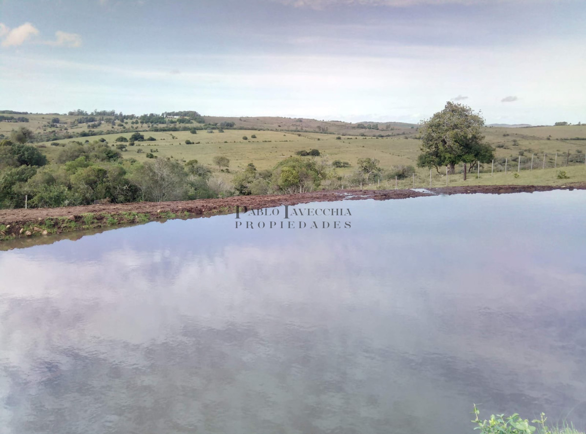 Chacra ID.154 - Excelente chacra de campo quebrado, cañada y árboles autóctonos