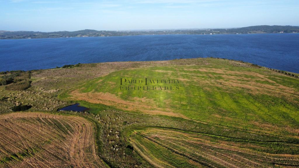 Chacra ID.7 - Entorno panorámico con costas sobre lago