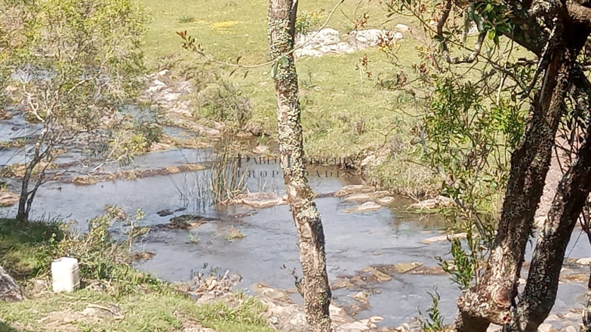 Chacra ID.154 - Excelente chacra de campo quebrado, cañada y árboles autóctonos