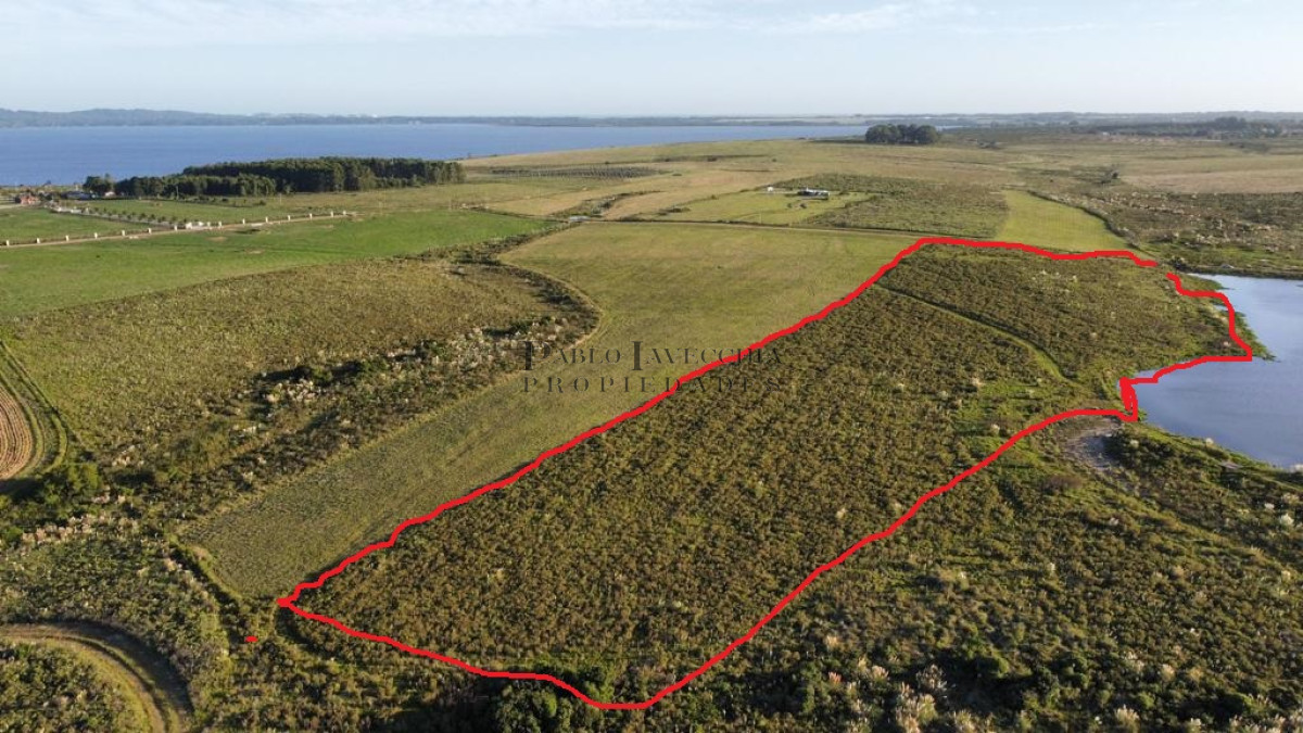 Chacra ID.7 - Entorno panorámico con costas sobre lago