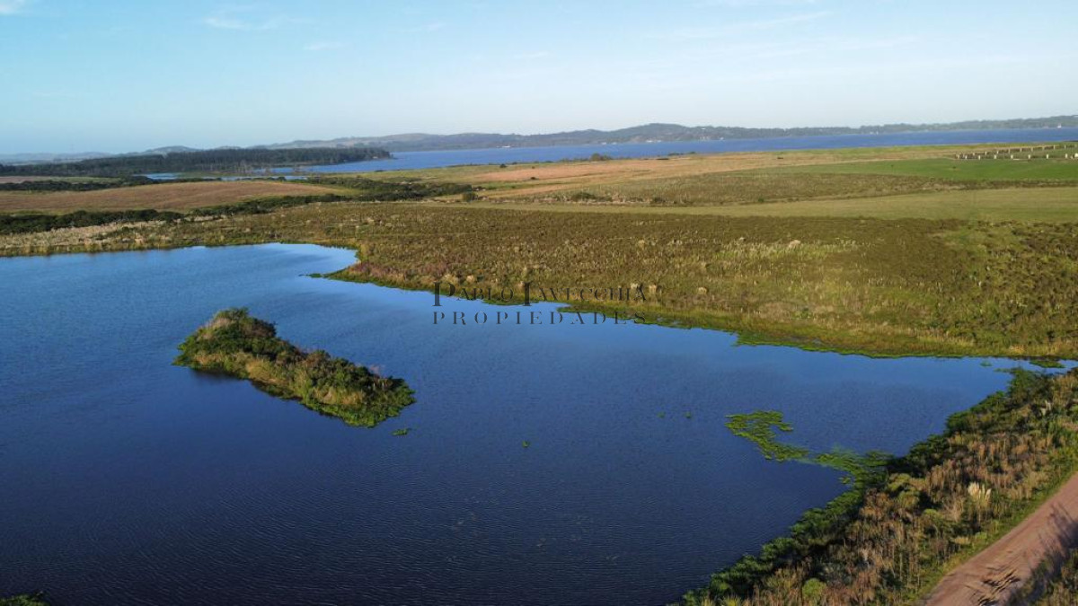 Chacra ID.7 - Entorno panorámico con costas sobre lago
