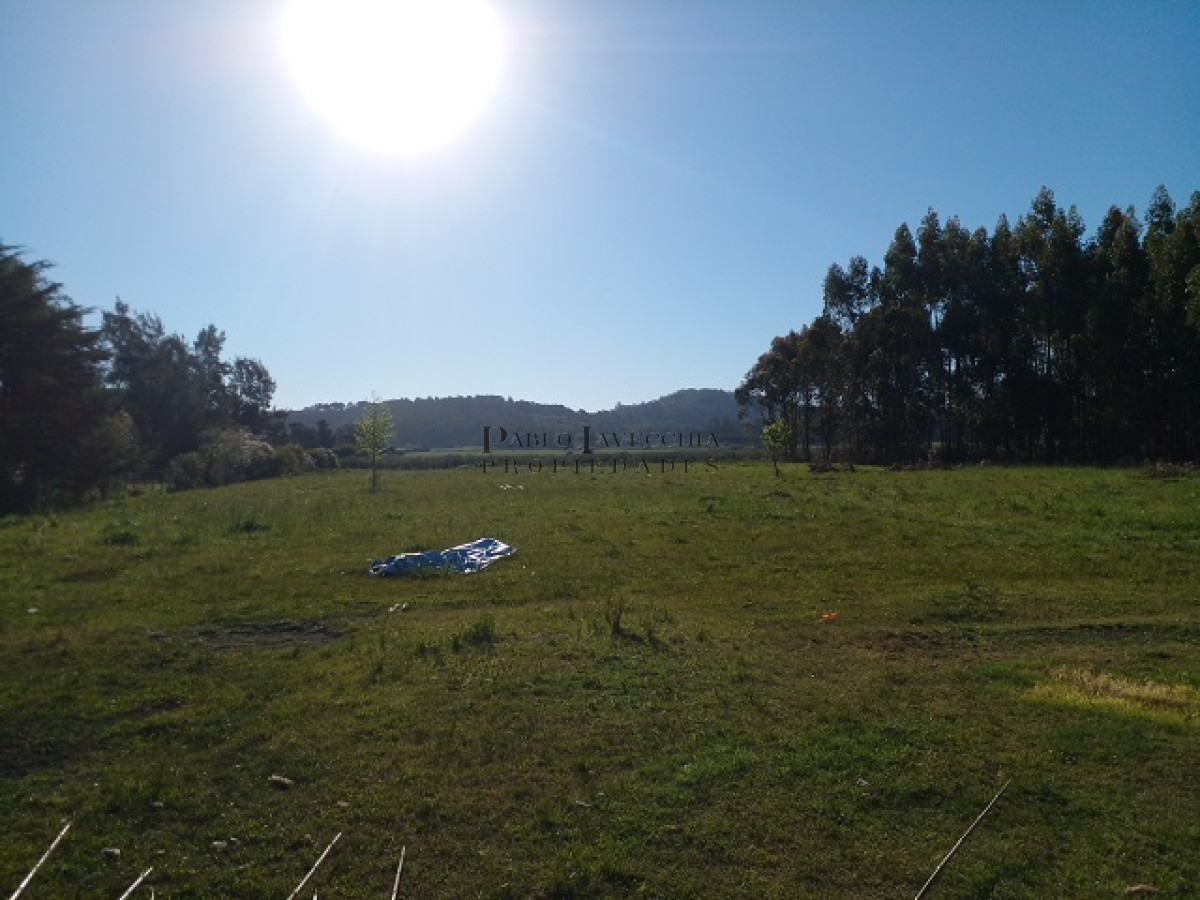 Chacra ID.9 - Chacra en La Pataia con mejoras