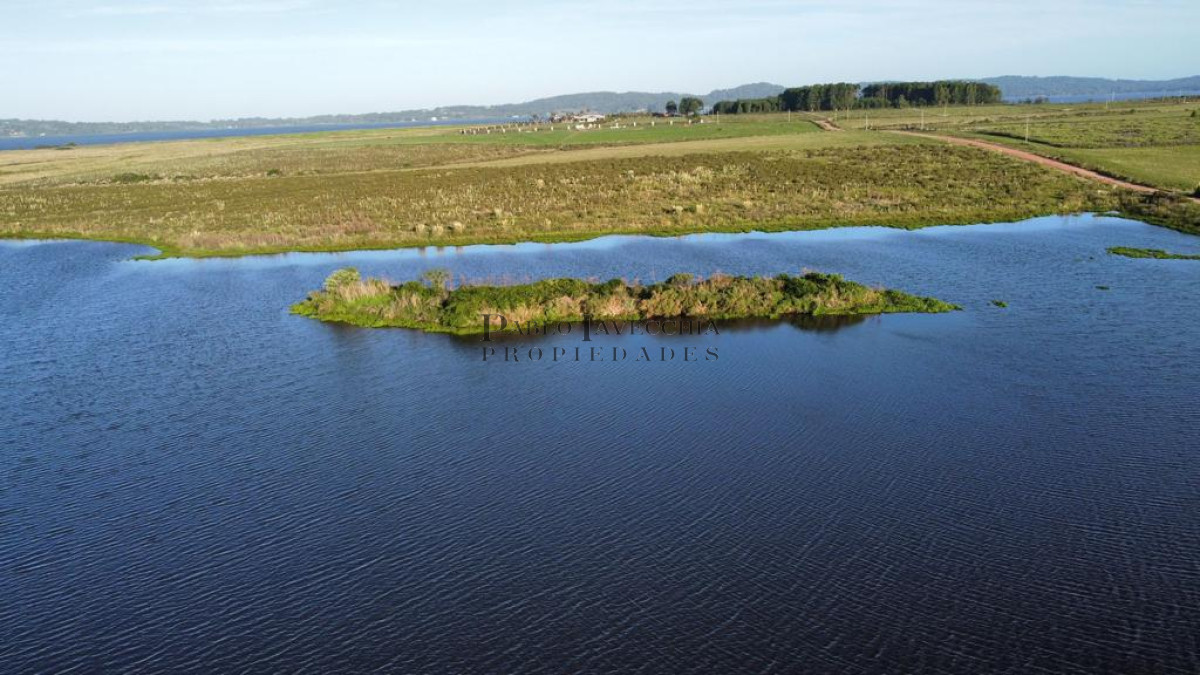 Chacra ID.7 - Entorno panorámico con costas sobre lago