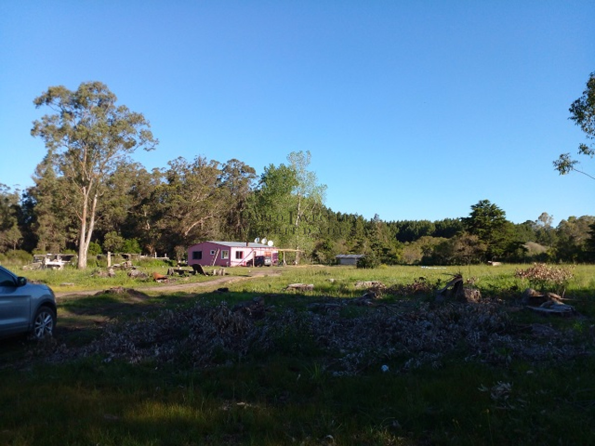 Chacra ID.9 - Chacra en La Pataia con mejoras
