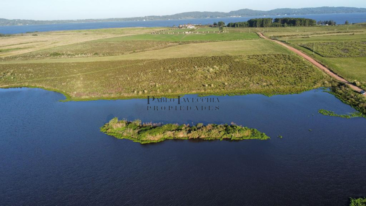 Chacra ID.7 - Entorno panorámico con costas sobre lago