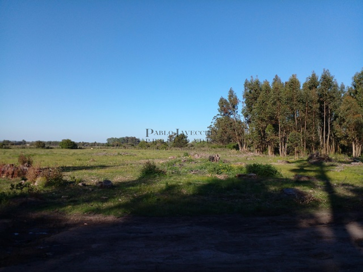 Chacra ID.9 - Chacra en La Pataia con mejoras
