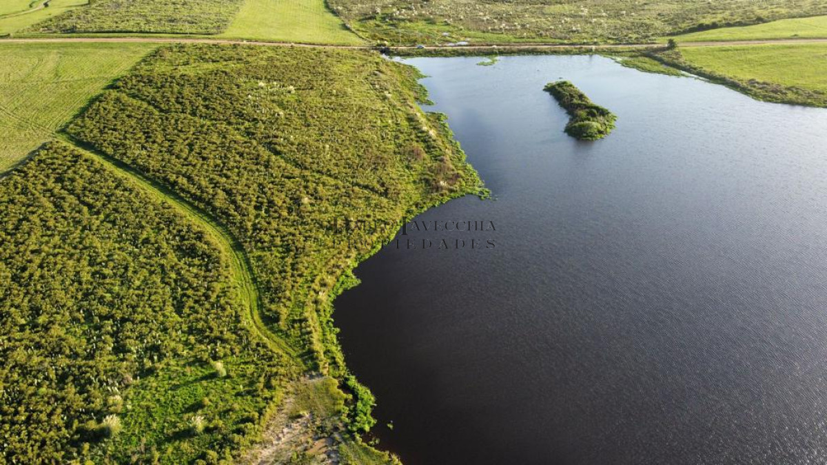 Chacra ID.7 - Entorno panorámico con costas sobre lago