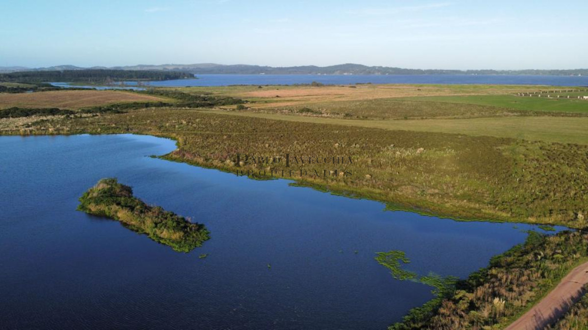 Chacra ID.7 - Entorno panorámico con costas sobre lago