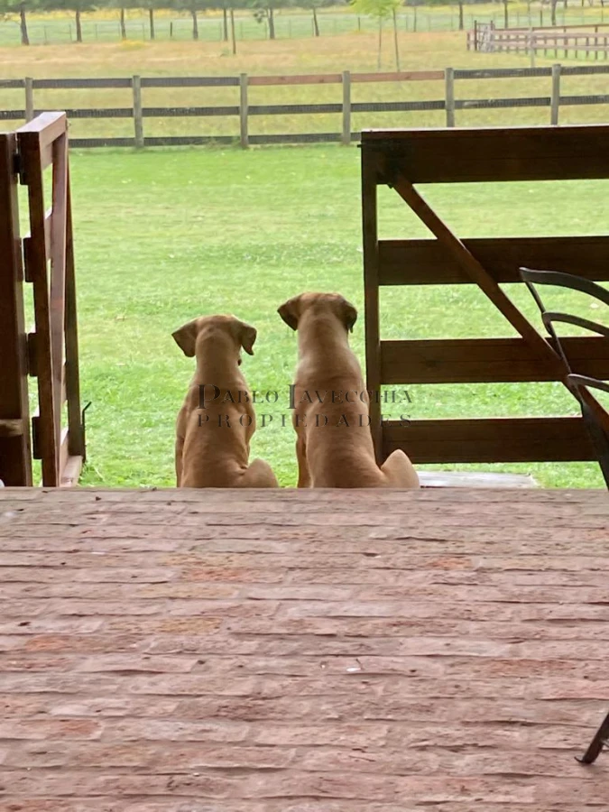 Chacra ID.6 - Chacra en la zona más linda del Valle de La Pataia