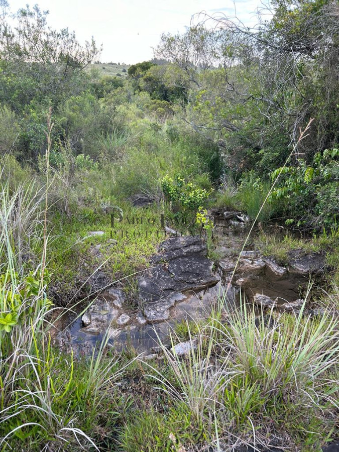 Chacra ID.217 - Rústica y moderna. Hermosa chacra en Pueblo Edén