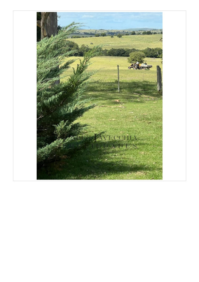Campo Ref.197 - Campo ganadero