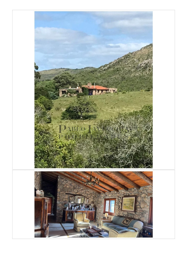Campo Ref.197 - Campo ganadero