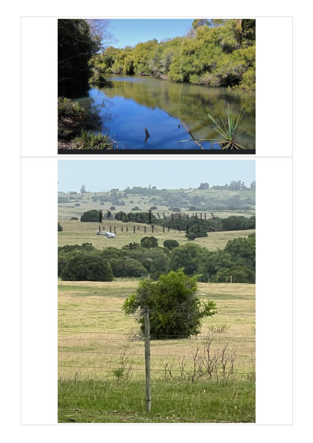 Campo Ref.197 - Campo ganadero