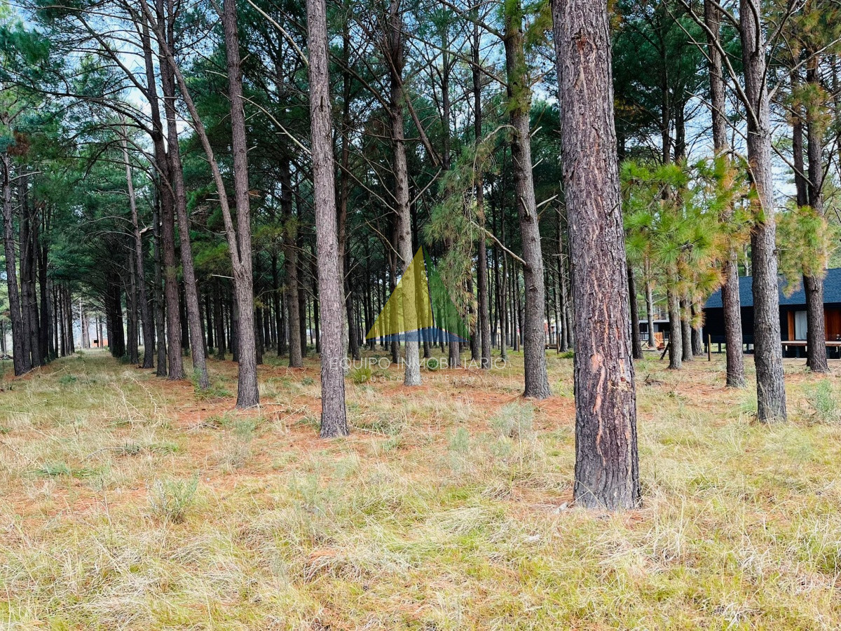 Pinares - GoPunta - Portal Inmobiliario de Punta del Este - Maldonado
