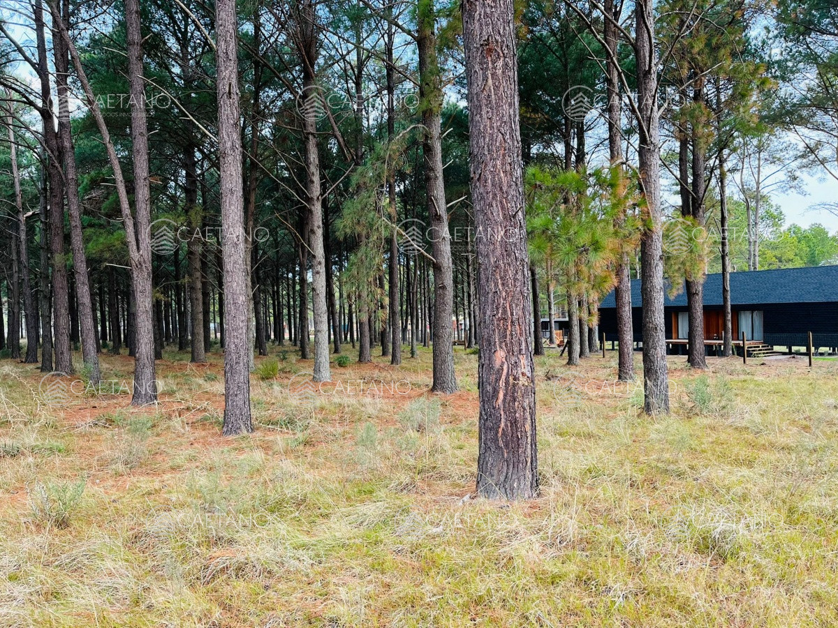 Pinares - GoPunta - Portal Inmobiliario de Punta del Este - Maldonado