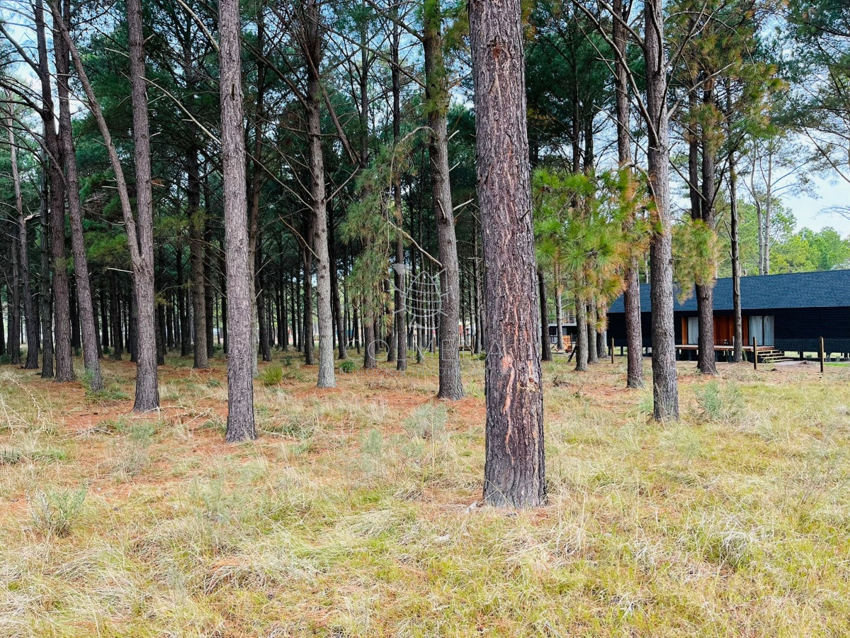 Pinares - GoPunta - Portal Inmobiliario de Punta del Este - Maldonado