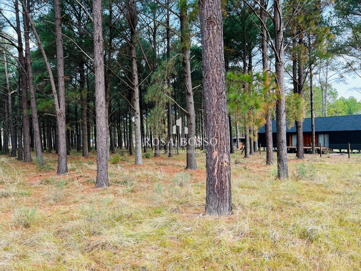 Pinares - GoPunta - Portal Inmobiliario de Punta del Este - Maldonado