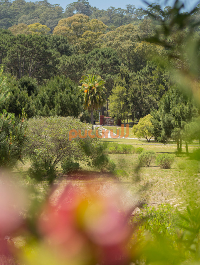 Terreno en Punta Ballena, Solanas