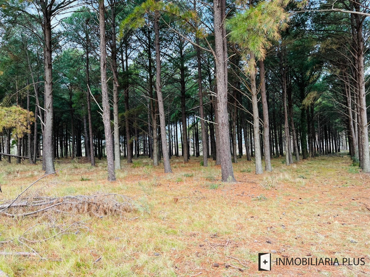 Terreno ID.710 - Venta de Chacras del Pinar 2.000 m2 en Barrio semi privado con un Club House C710B